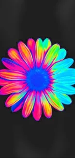 Colorful digital flower on black background