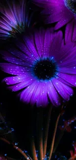 Vibrant neon flower with glowing petals.