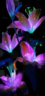 Vibrant neon flowers glowing against a dark background, creating a mesmerizing effect.