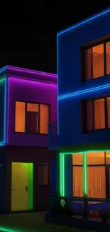 Neon house glowing with multicolored LED lights against a night sky.