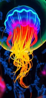 Vibrant neon jellyfish glowing against a dark ocean background.