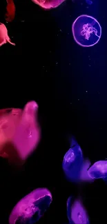 Neon jellyfish glowing in a dark sea