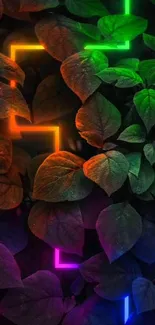 Dark leaves with vibrant neon glow lines in green, orange, and purple shades.