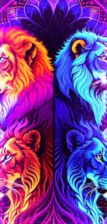 Vibrant neon lion art wallpaper with bold, colorful designs.