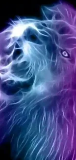 Neon lion wallpaper in blue and purple digital art.