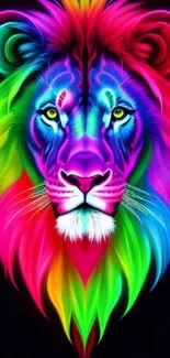 Colorful neon lion wallpaper with vibrant rainbow mane.