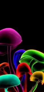 Vibrant neon mushrooms on black background, creating colorful art.