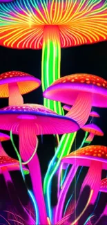 Vibrant neon mushrooms on a dark background.