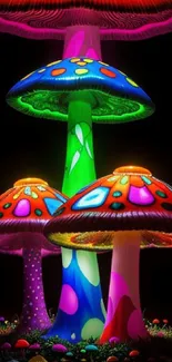 Colorful neon mushrooms glowing on a black background.