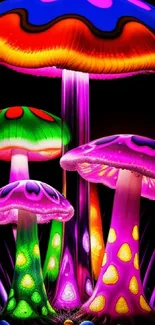 Vibrant neon mushrooms glow with vivid colors on a dark background.