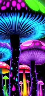 Neon mushrooms glowing with vibrant colors in a fantasy setting.