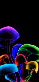 Vibrant neon mushrooms glow on a black background, perfect for a colorful screen theme.