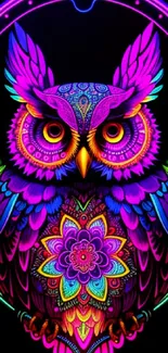 Bright neon owl with intricate patterns glowing on a dark background.