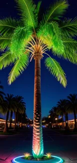 Neon-lit palm tree against a dark starry night sky, vibrant and tropical.