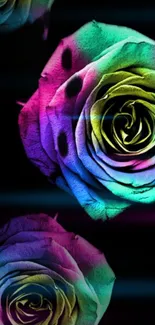 Vibrant, multicolored neon roses on a dark background.