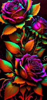 Neon pink and orange roses on dark backdrop.