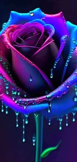 Colorful neon rose with water droplets.