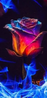 Vibrant neon rose with blue flames on smartphone wallpaper.