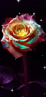 Vibrant neon rose with dark background.