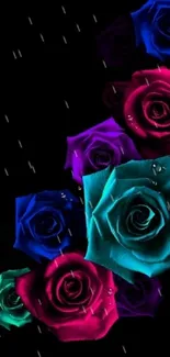 Vibrant neon colored roses on black background.