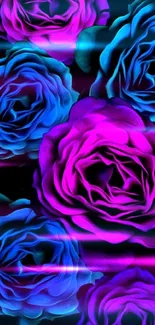 Vivid neon roses against a black background.