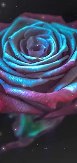 Glowing neon blue and pink rose on dark background.