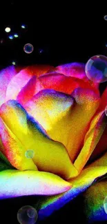 Vibrant neon rose against black background.