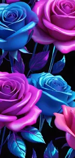 Bright neon roses in pink and blue hues against a dark background.