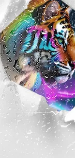 Colorful neon tiger art behind wet glass.