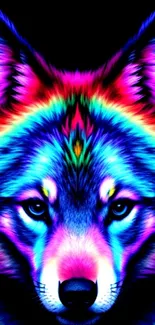 A vibrant neon wolf artwork with bold colors on a black background.