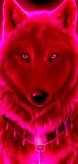 Neon wolf with vibrant pink glow on phone wallpaper.