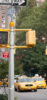 New York street scene with yellow taxis and traffic signal.
