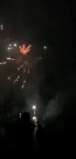 Night sky illuminated by vibrant fireworks in full display.