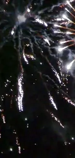 Vibrant fireworks display lighting up the night sky.