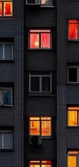 Illuminated building windows at night displaying vibrant colors.