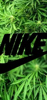 Nike logo with green leaf background.