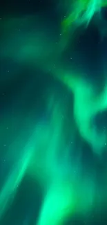 Emerald green Northern Lights illuminating the night sky.