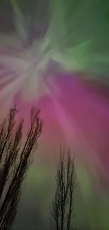 Bright aurora with trees below against a vivid green and pink night sky.