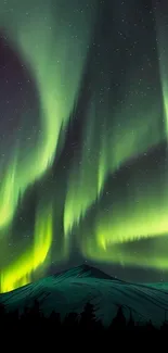 Vibrant northern lights against a starry night sky.