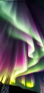 Vibrant Northern Lights illuminating sky over forest.