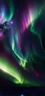 Vibrant display of northern lights illuminating the night sky with greens and purples.