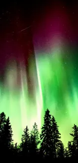 Colorful Northern Lights with silhouetted trees under a starry sky.