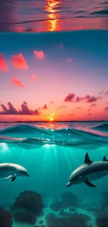 Dolphins swim under a vibrant sunset sky.