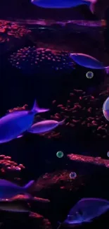 Vibrant fish swimming in dark ocean scene with corals.