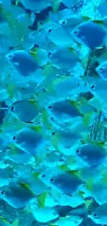 School of vibrant fish swimming in turquoise ocean.