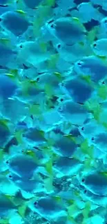 School of vibrant fish swimming in blue ocean wallpaper.