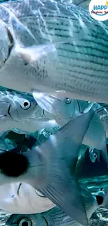 Vibrant image of ocean fish swimming underwater.