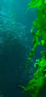 Vibrant green kelp and shimmering fish in underwater scene.