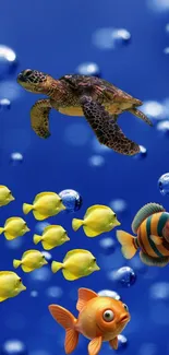 Colorful fish and turtle in ocean bubbles on blue background.