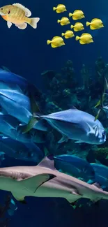 Vibrant underwater scene with diverse fish life in the ocean.